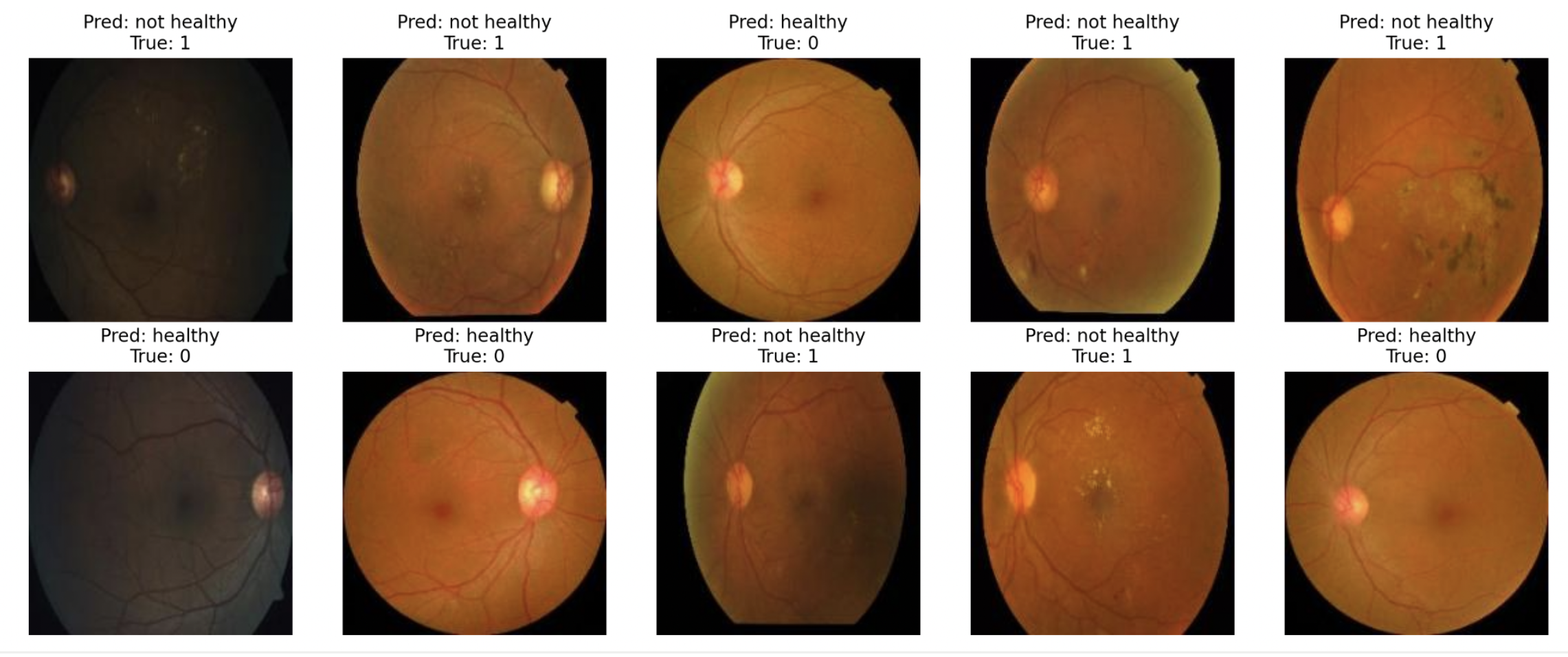 Prediction Visualizations